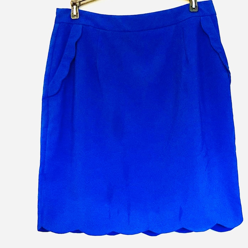 NWOT Brixon Ivy Skirt Sz M